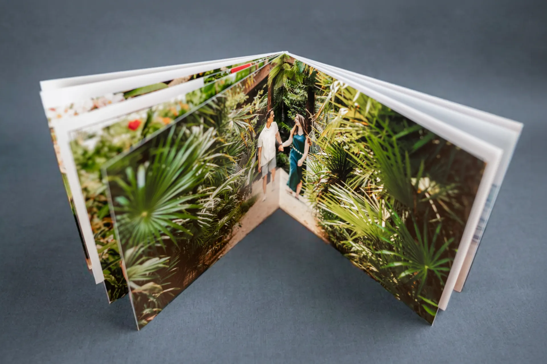 Photo Book (Flat Classic Regular (22.5 x 19.8 cm))